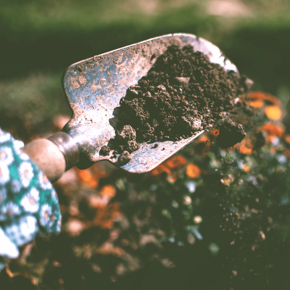 How to Keep Your Garden Tools from Rusting